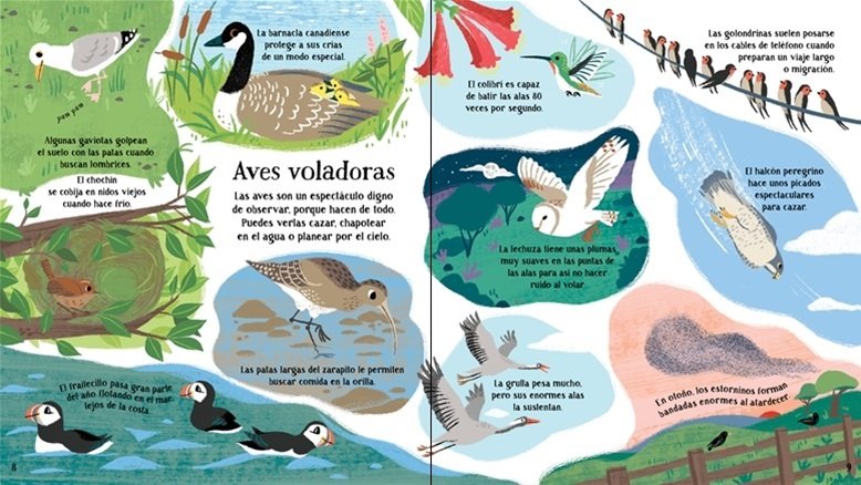 La Naturaleza - ¡Mira Debajo! - Imagen 3